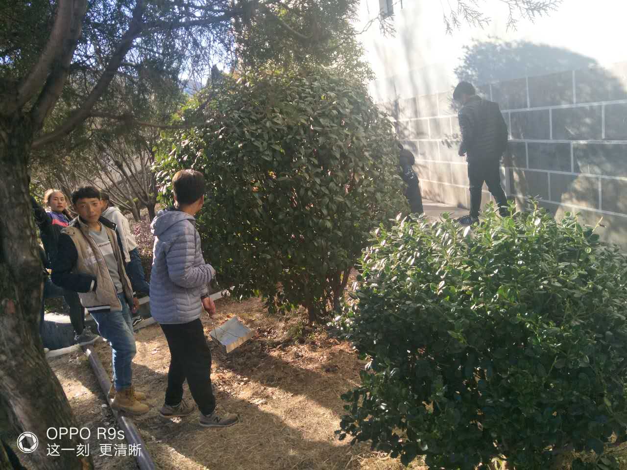 微信图片_20171227210011.jpg